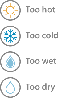 Thermal Comfort Index Icons